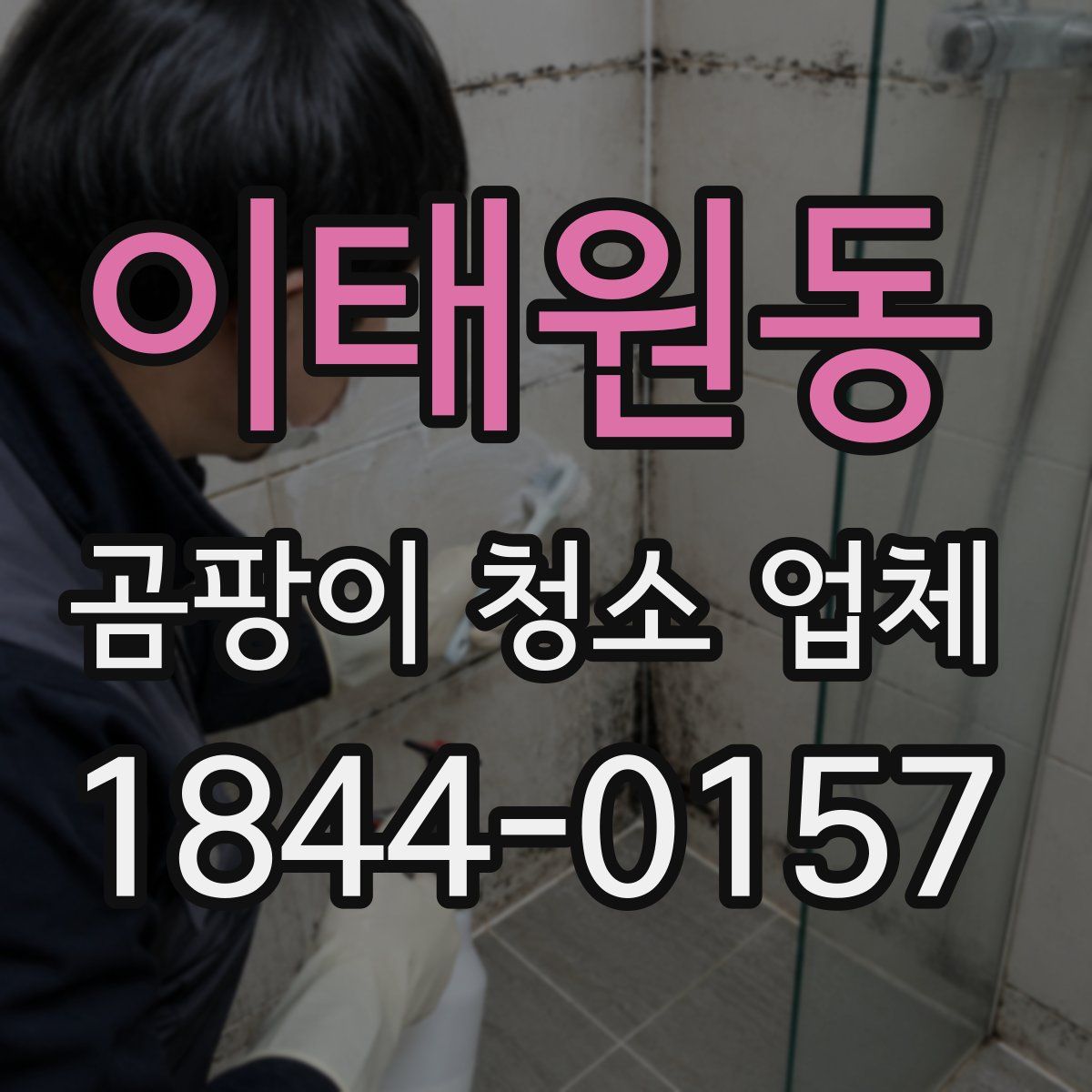 이태원동 곰팡이 청소 업체