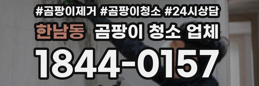 한남동 곰팡이 청소 업체