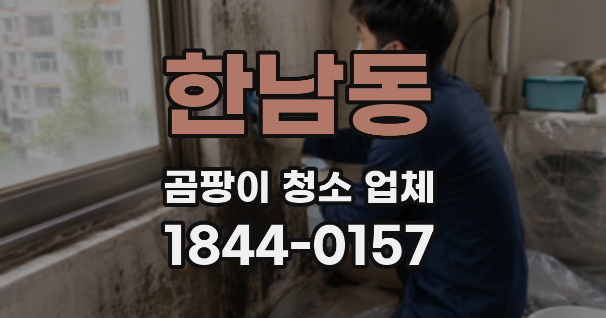 한남동 곰팡이 청소 업체