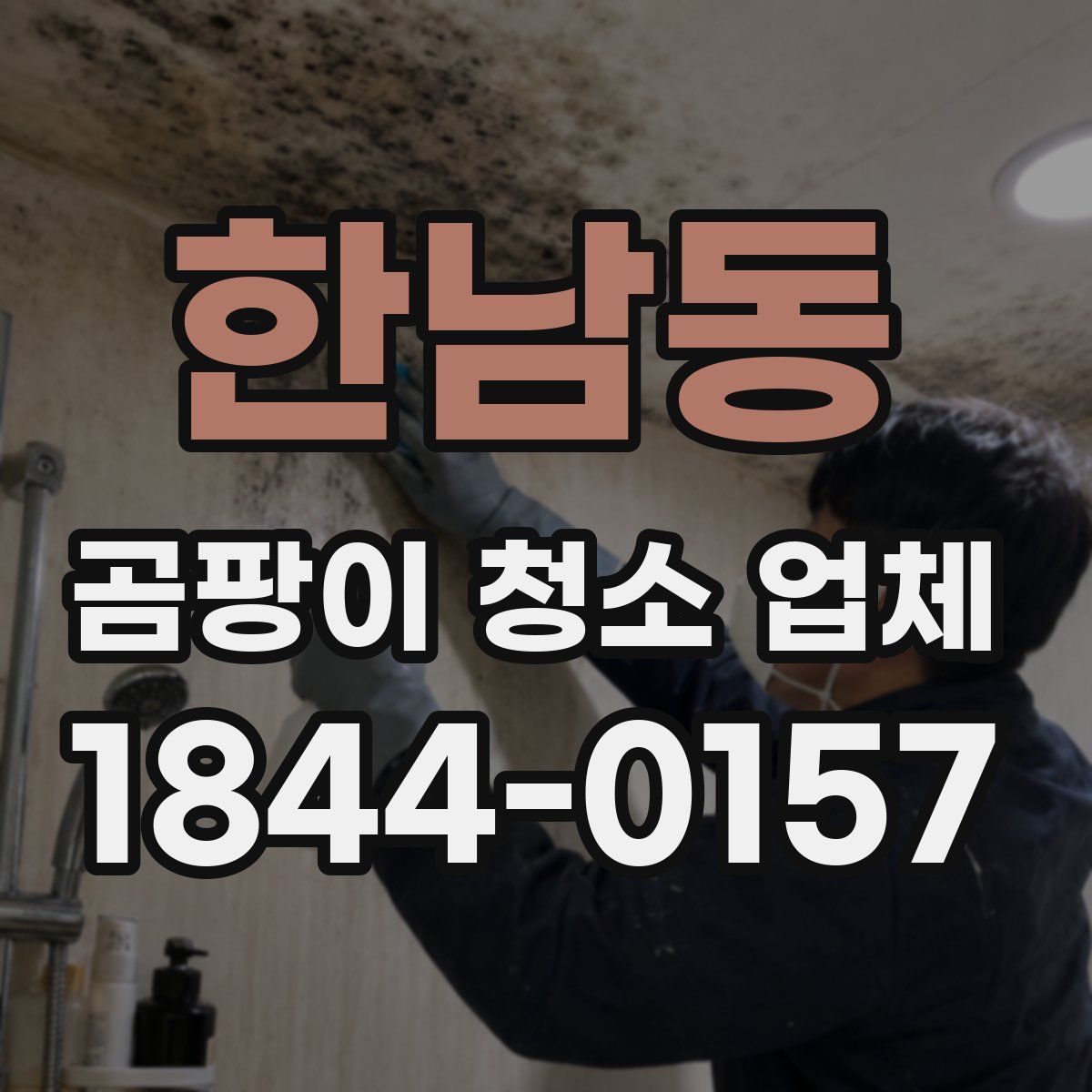 한남동 곰팡이 청소 업체