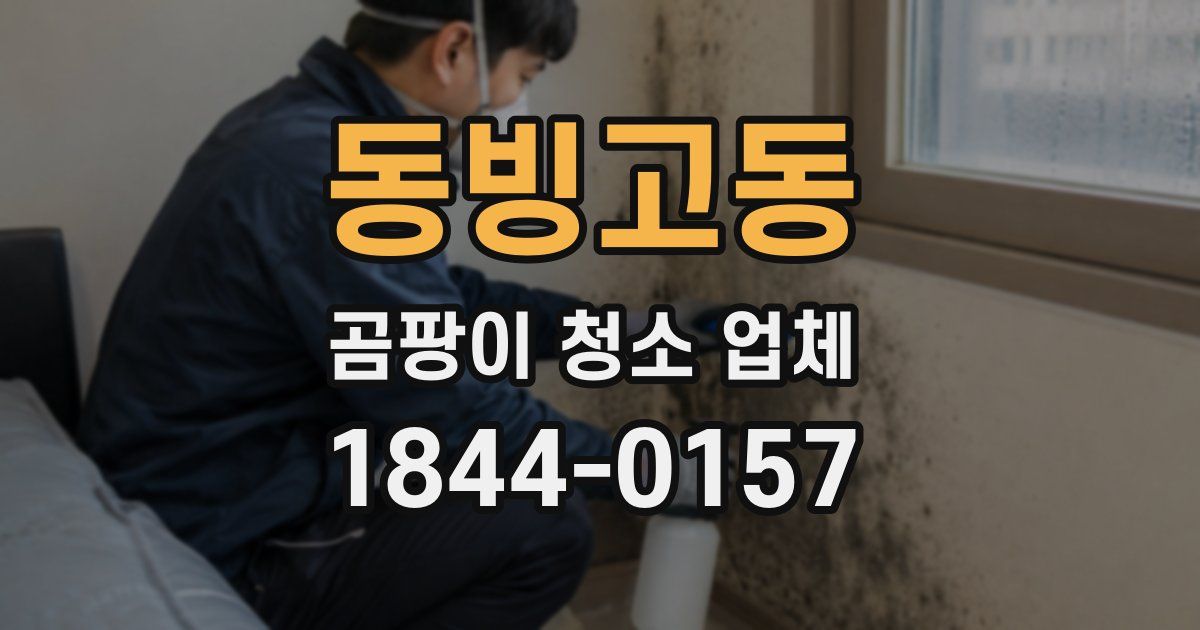 동빙고동 곰팡이 청소 업체
