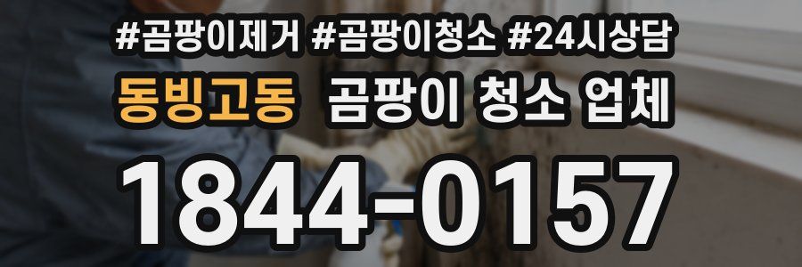 동빙고동 곰팡이 청소 업체