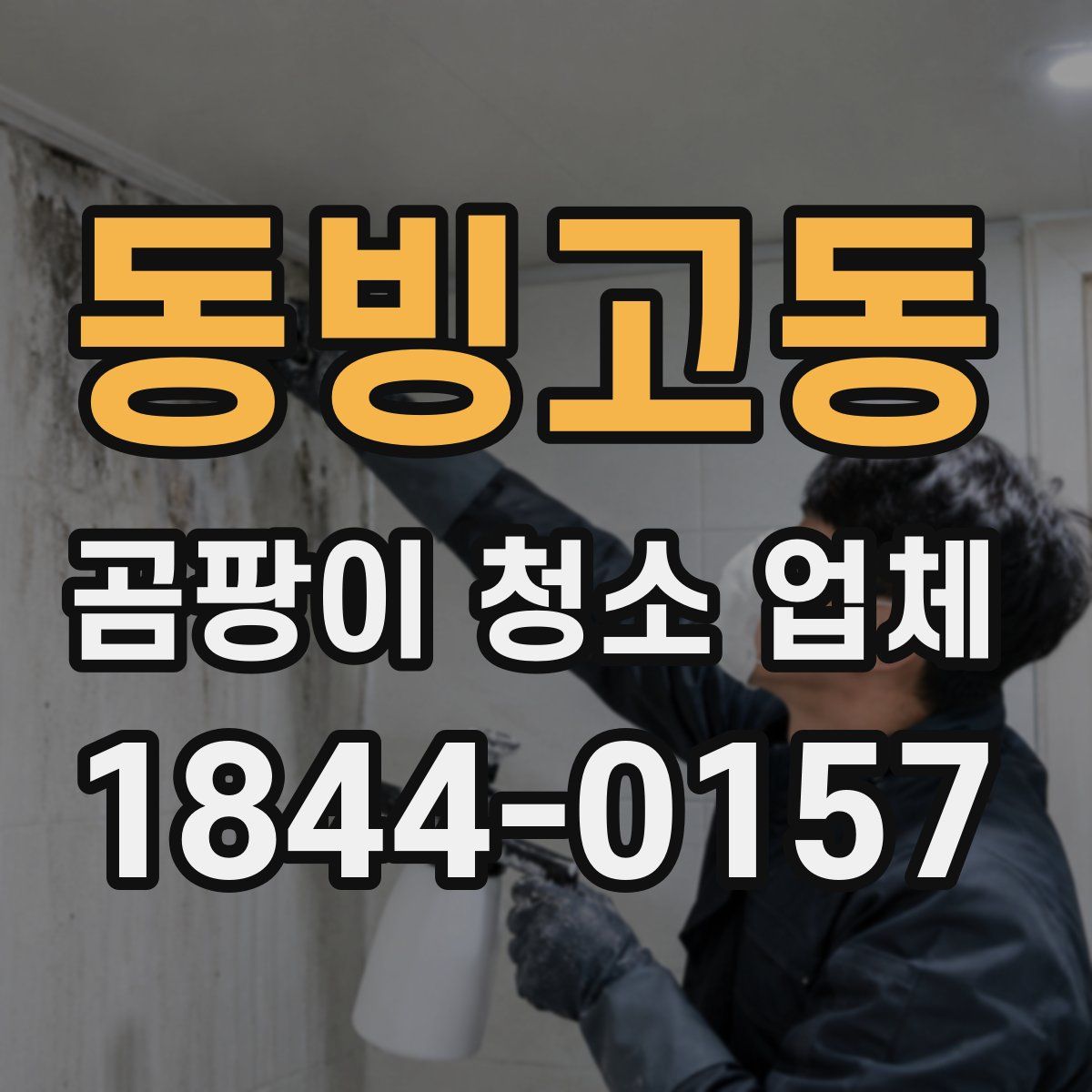 동빙고동 곰팡이 청소 업체