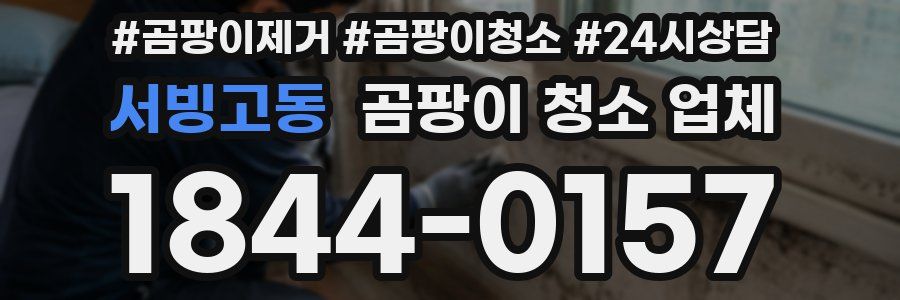 서빙고동 곰팡이 청소 업체