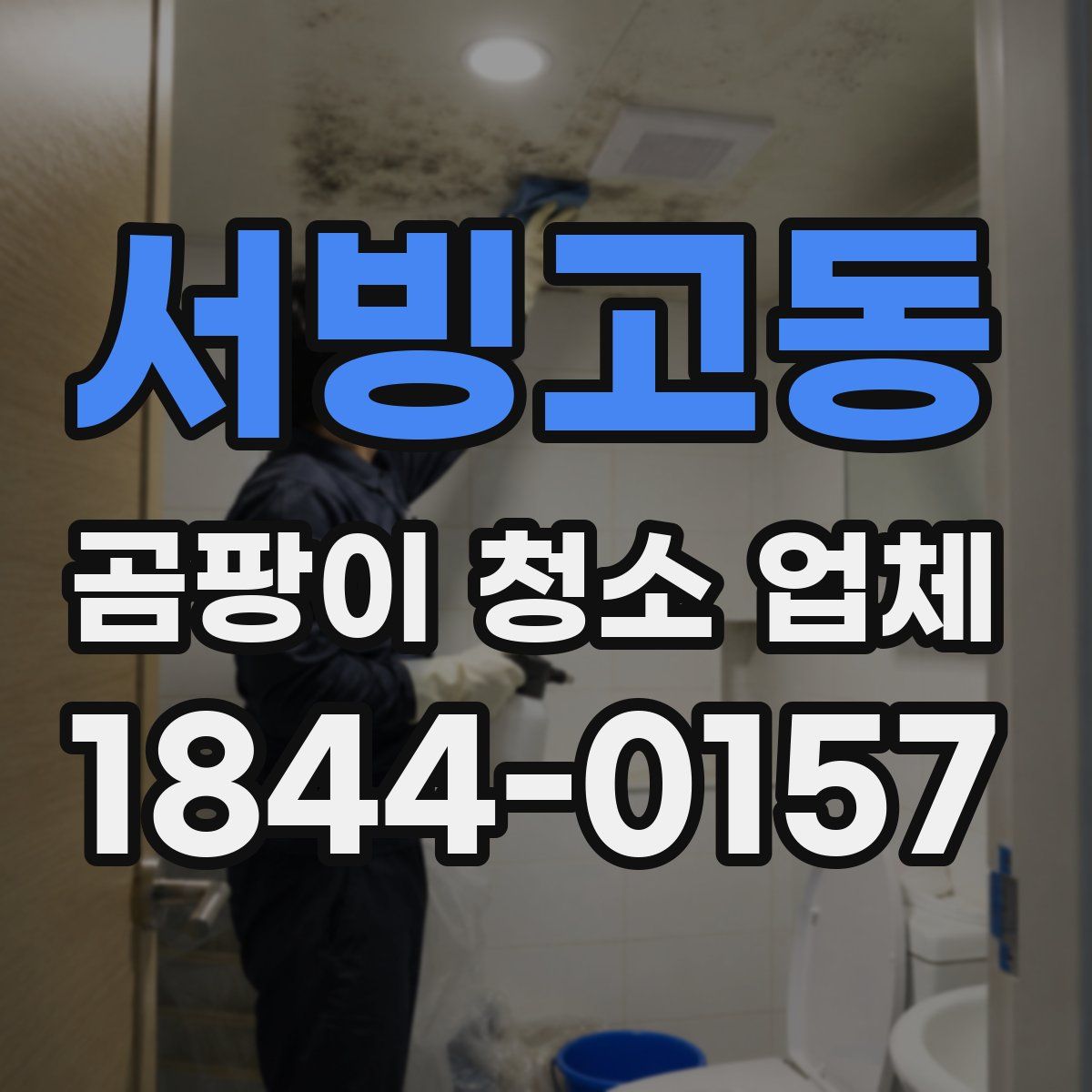 서빙고동 곰팡이 청소 업체