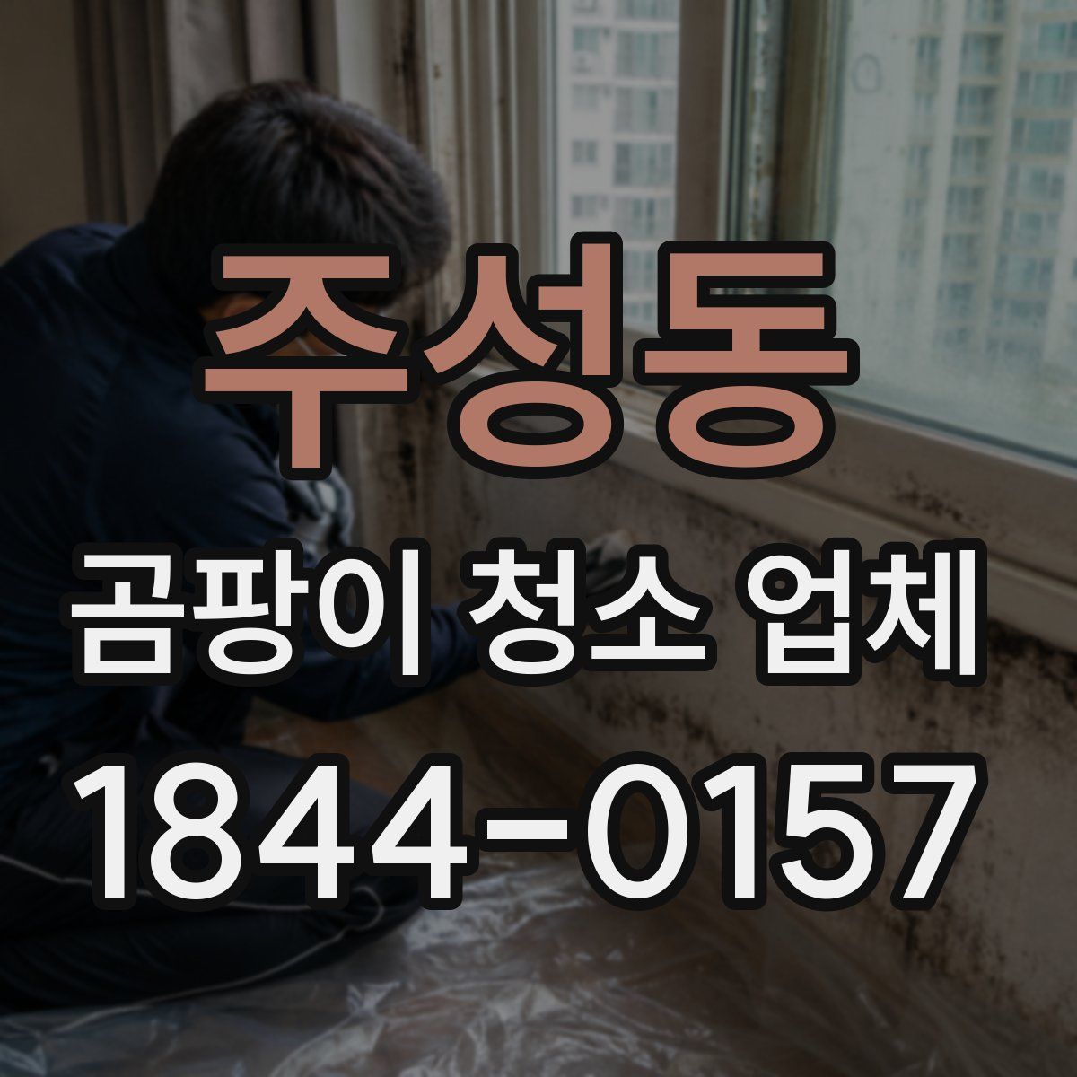 주성동 곰팡이 청소 업체