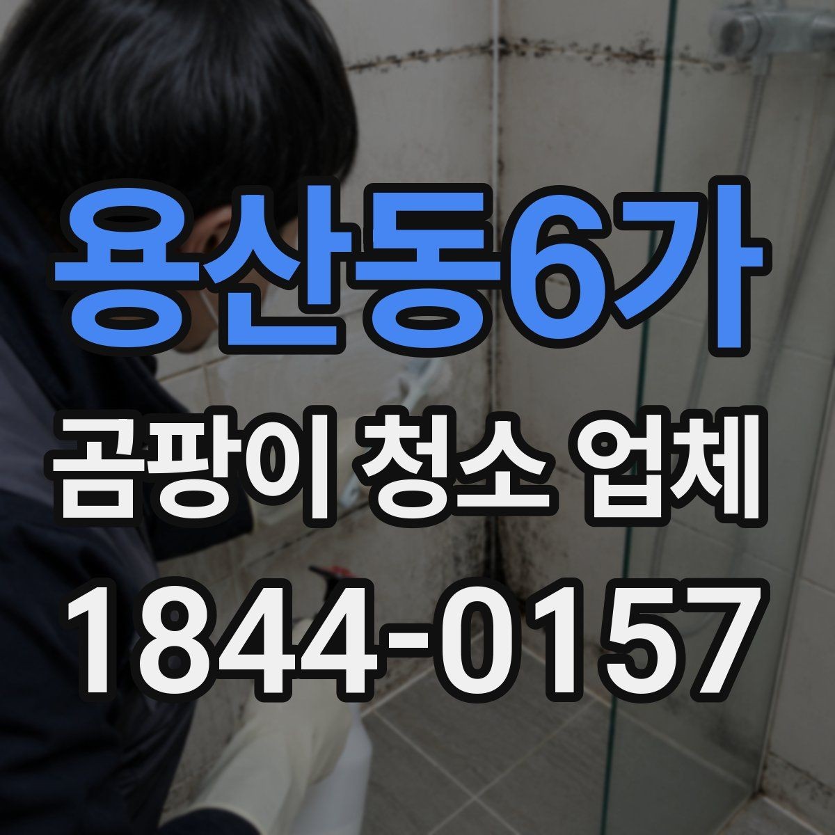용산동6가 곰팡이 청소 업체 눈에 보이지 않는 곰팡이까지 점검하는 법