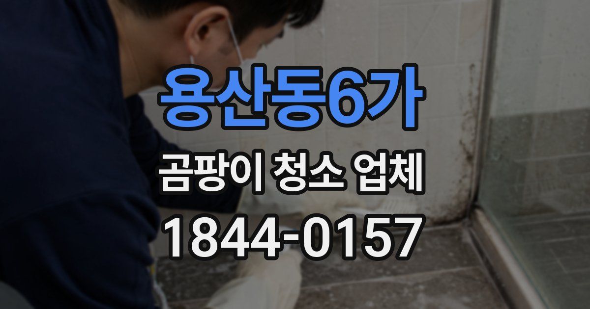 용산동6가 곰팡이 청소 업체