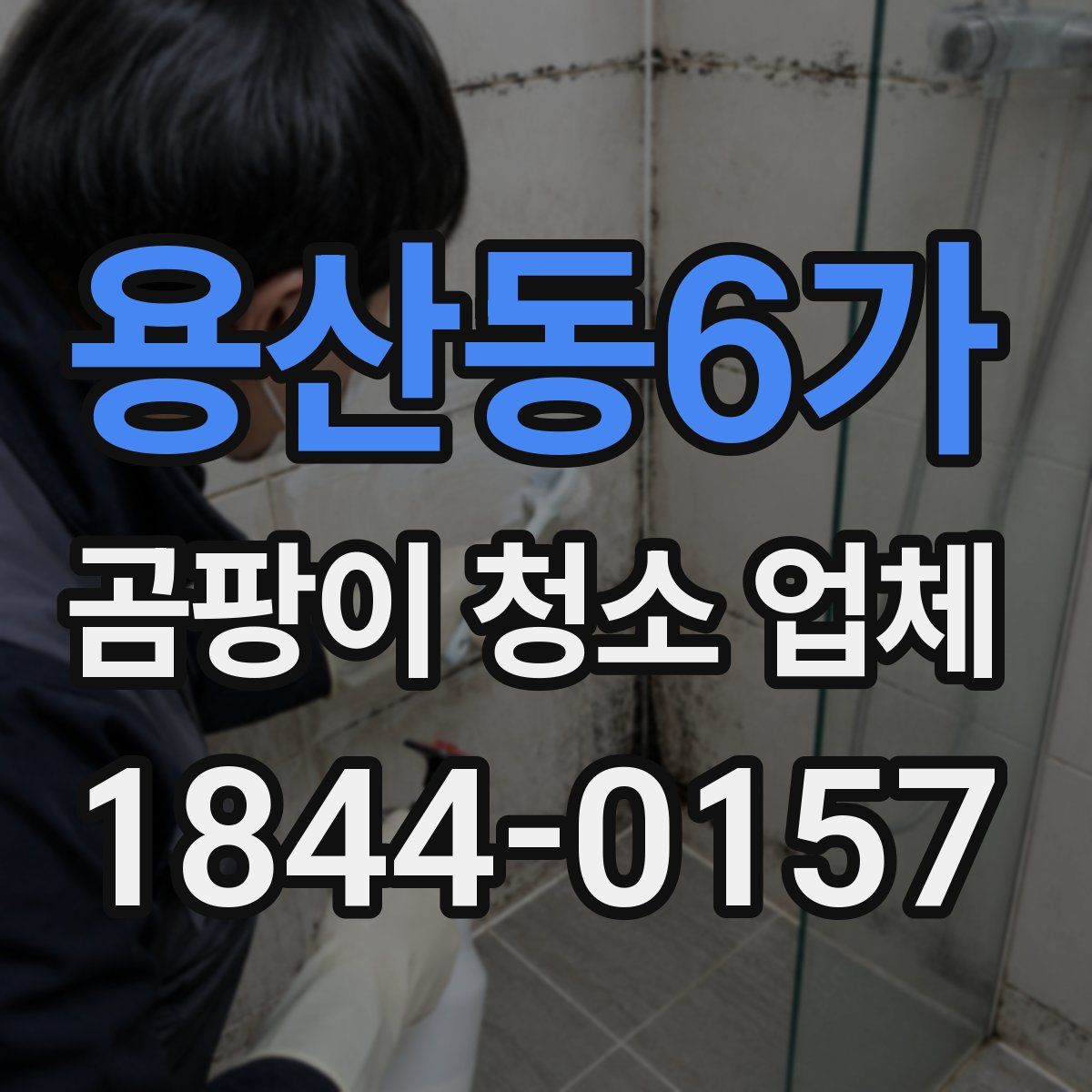 용산동6가 곰팡이 청소 업체