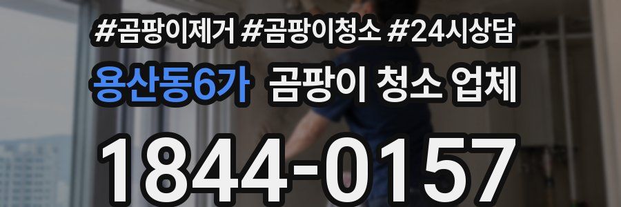 용산동6가 곰팡이 청소 업체