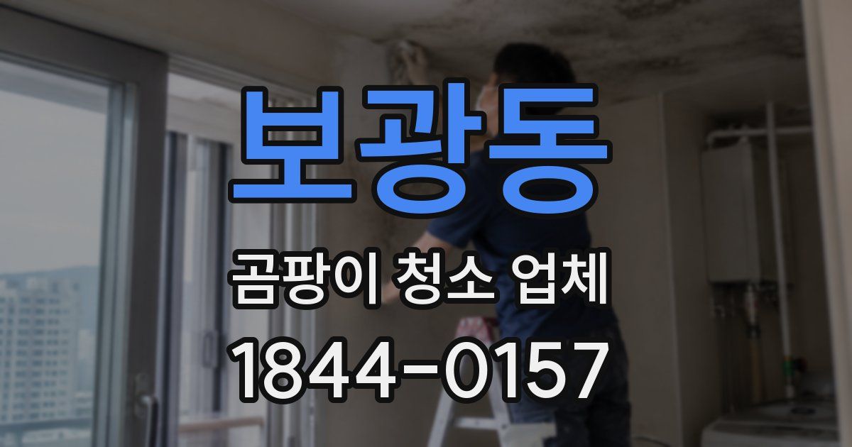 보광동 곰팡이 청소 업체