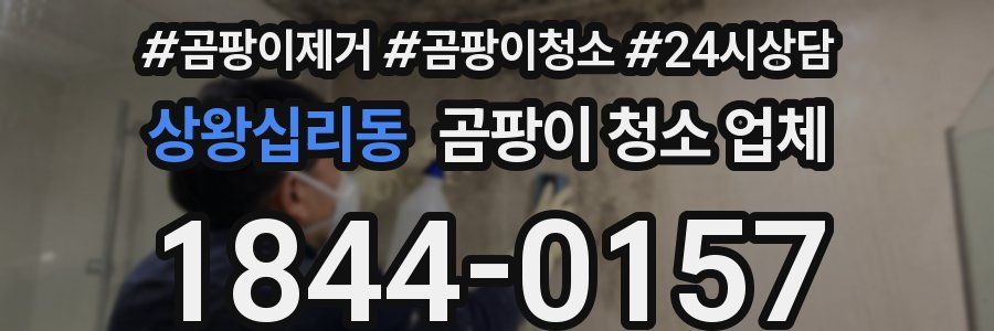 상왕십리동 곰팡이 청소 업체