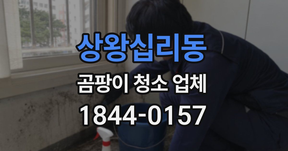 상왕십리동 곰팡이 청소 업체