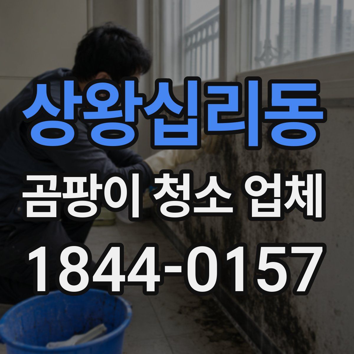 상왕십리동 곰팡이 청소 업체