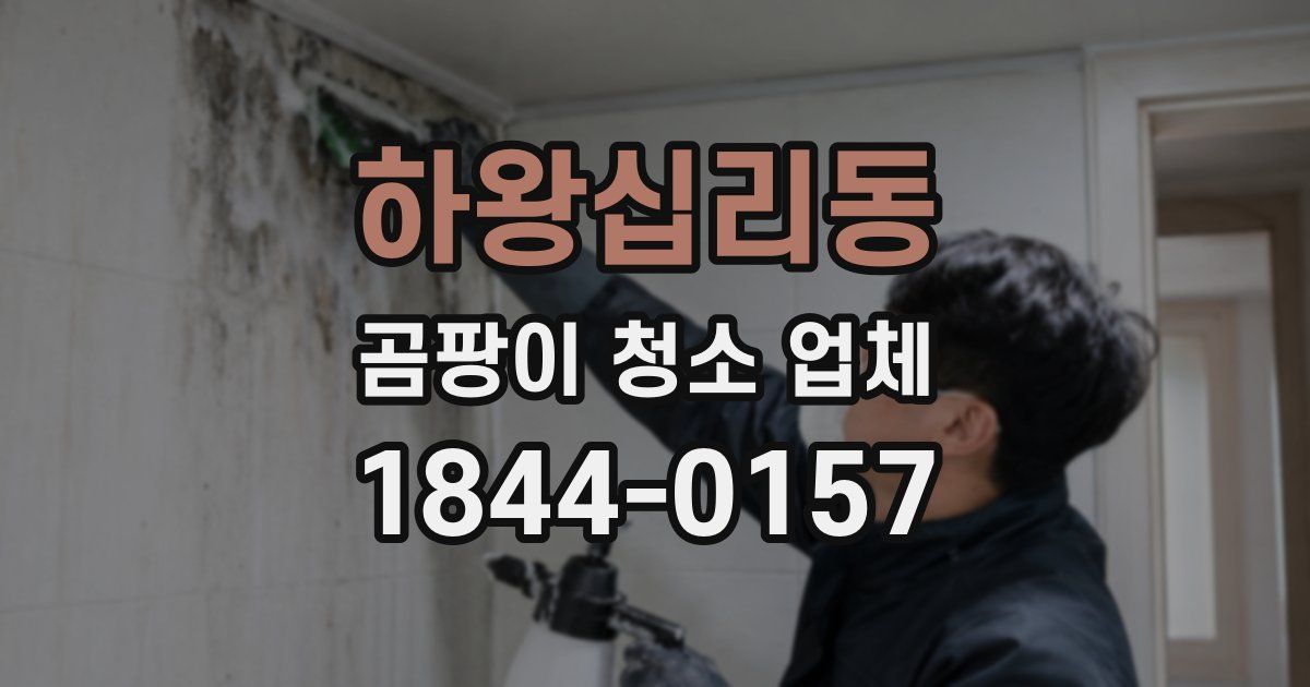하왕십리동 곰팡이 청소 업체