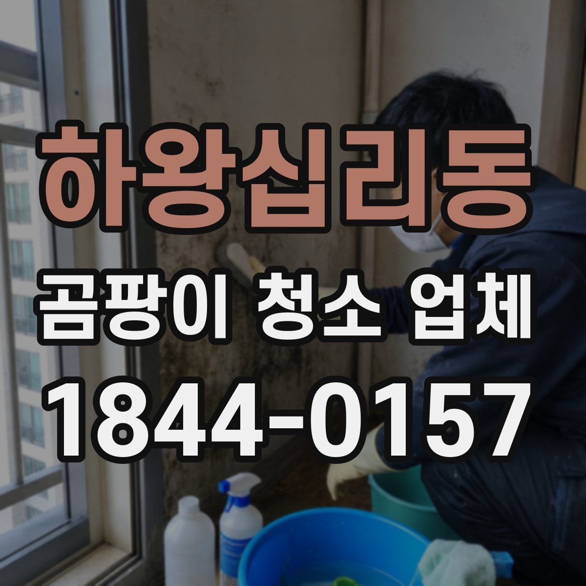하왕십리동 곰팡이 청소 업체