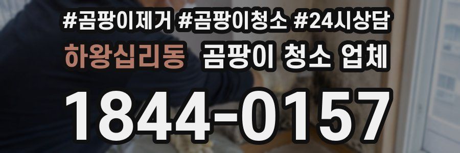 하왕십리동 곰팡이 청소 업체