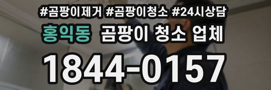 홍익동 곰팡이 청소 업체