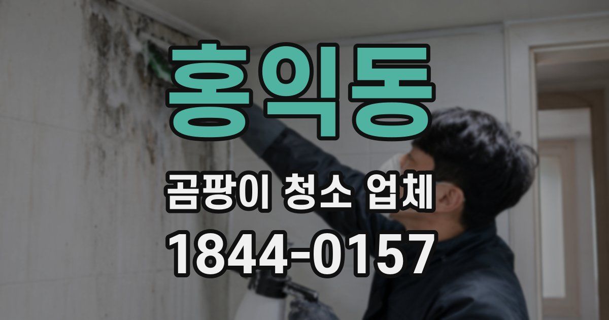 홍익동 곰팡이 청소 업체