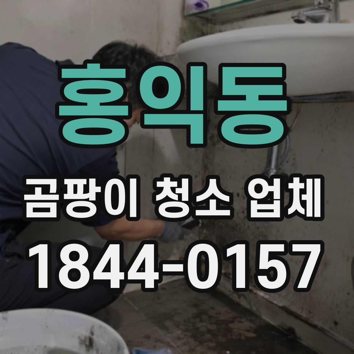 홍익동 곰팡이 청소 업체