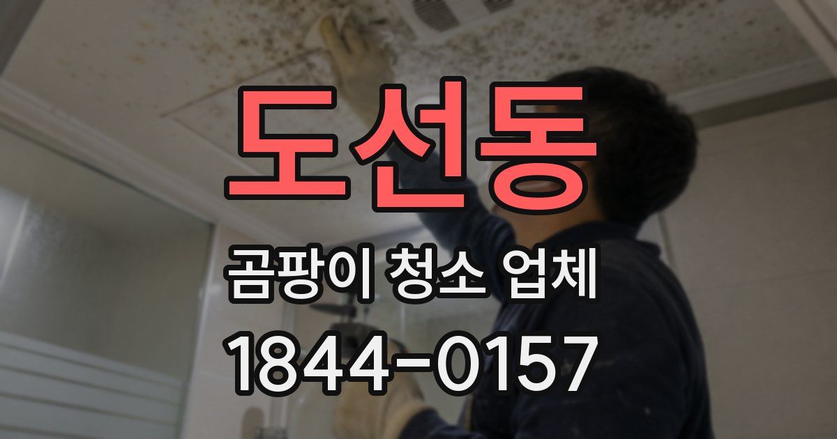 도선동 곰팡이 청소 업체