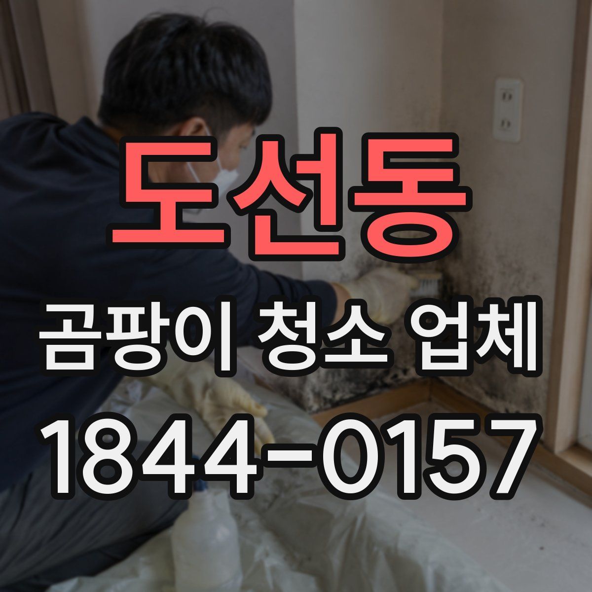 도선동 곰팡이 청소 업체