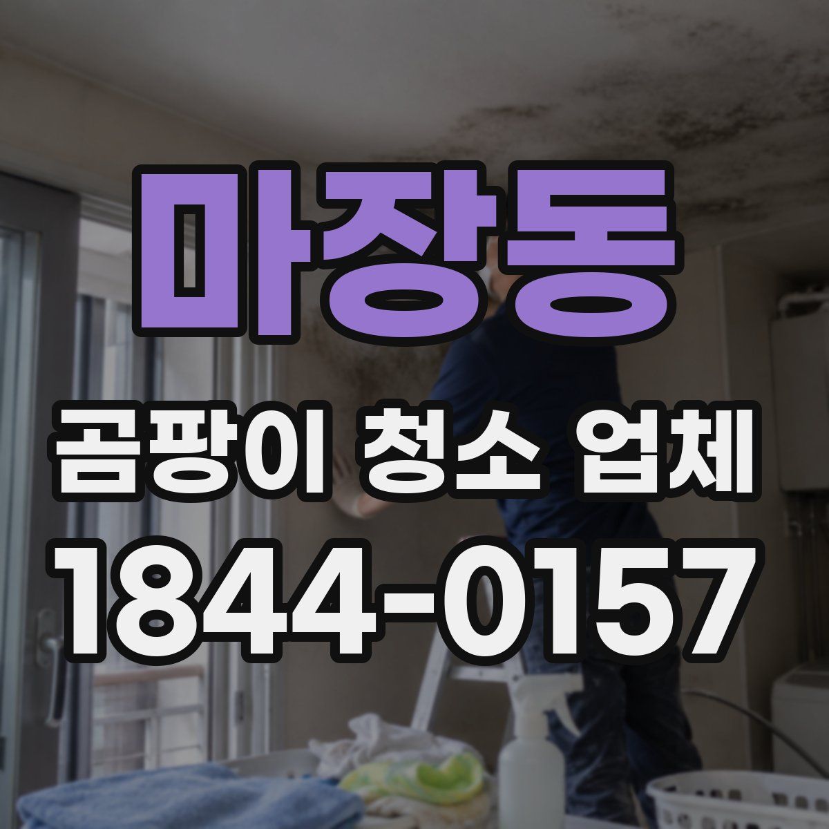마장동 곰팡이 청소 업체