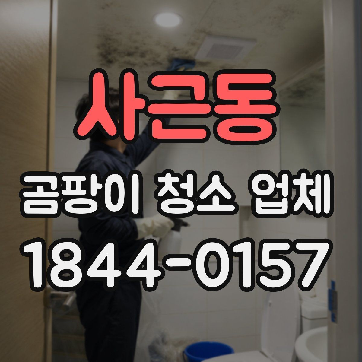 사근동 곰팡이 청소 업체 아이 방에서 더 꼼꼼히 볼 관리 항목