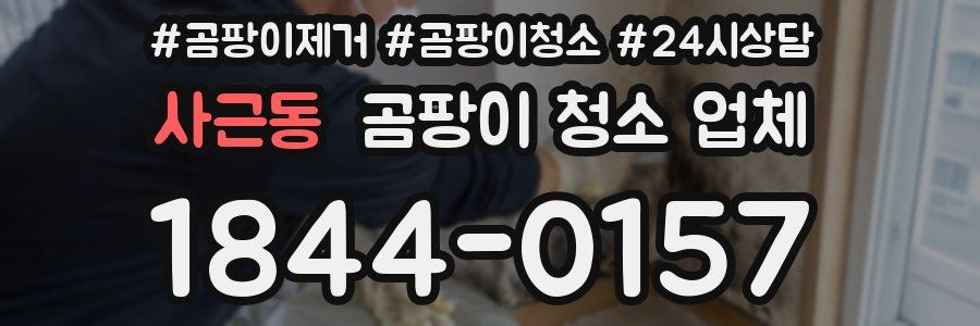 사근동 곰팡이 청소 업체
