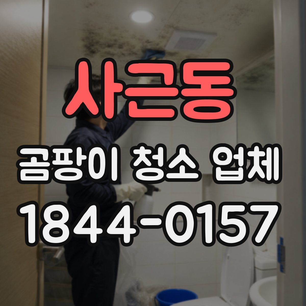 사근동 곰팡이 청소 업체