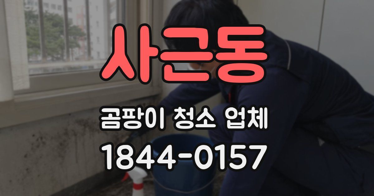 사근동 곰팡이 청소 업체