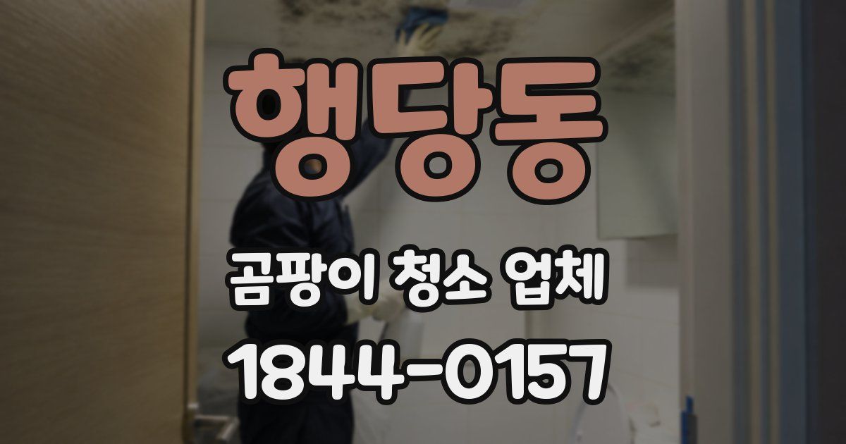행당동 곰팡이 청소 업체