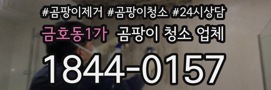 금호동1가 곰팡이 청소 업체