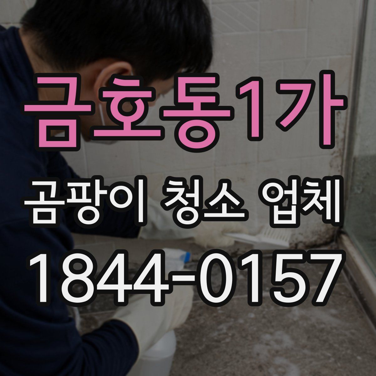금호동1가 곰팡이 청소 업체