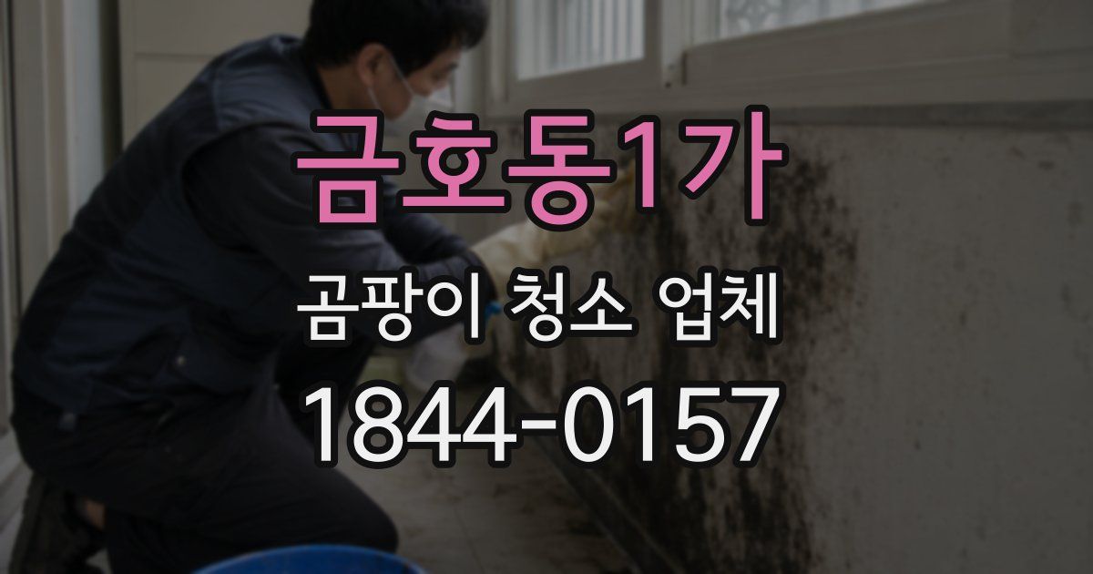 금호동1가 곰팡이 청소 업체