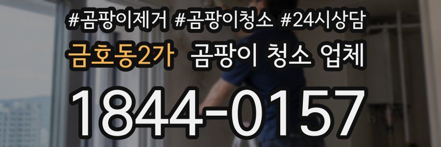 금호동2가 곰팡이 청소 업체