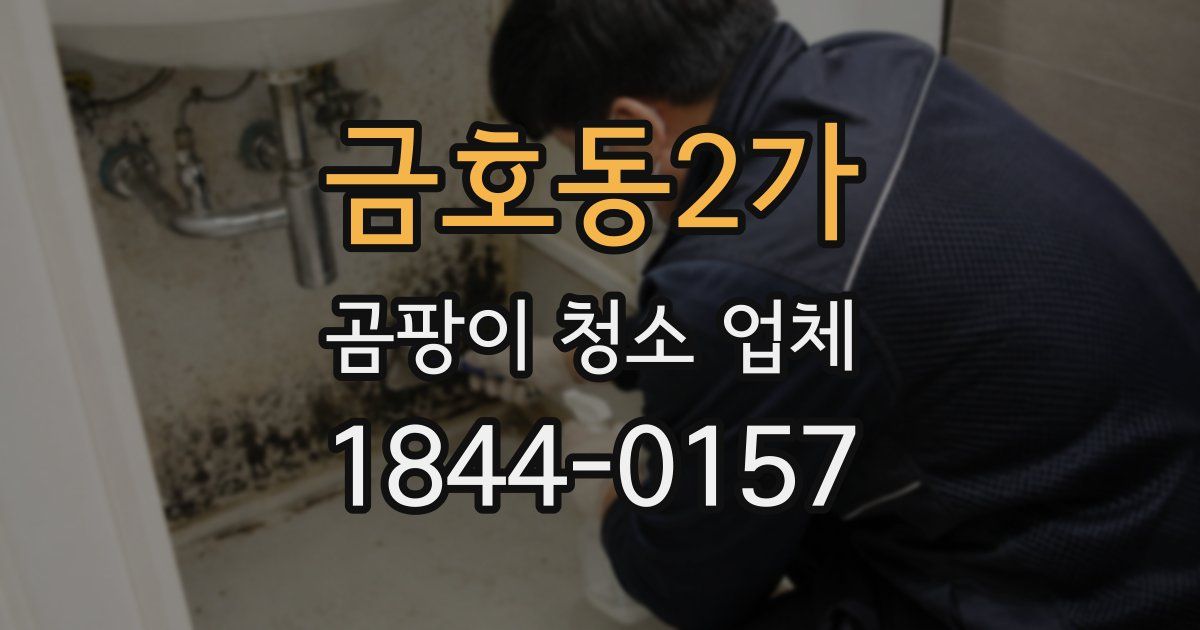금호동2가 곰팡이 청소 업체