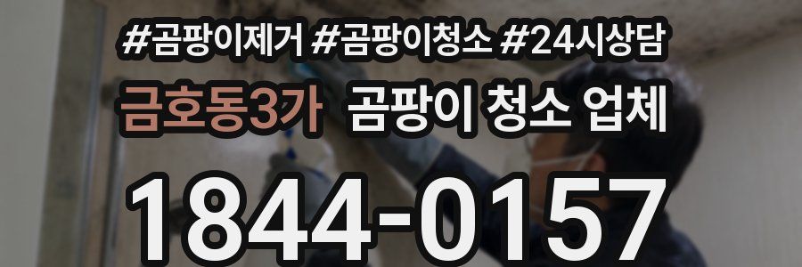 금호동3가 곰팡이 청소 업체