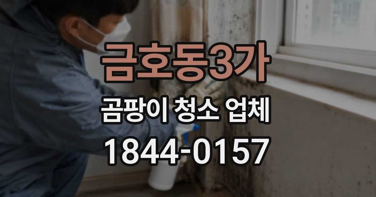 금호동3가 곰팡이 청소 업체