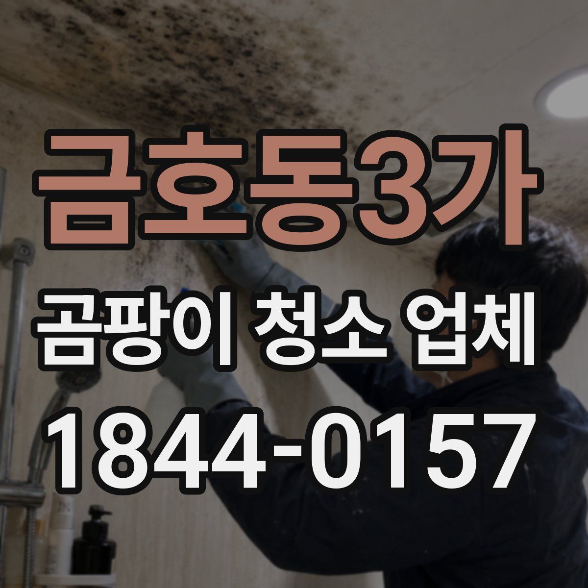 금호동3가 곰팡이 청소 업체
