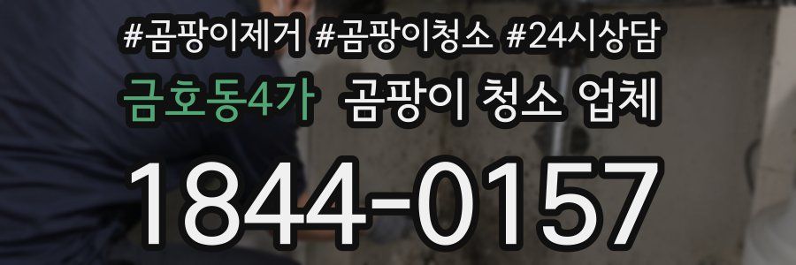 금호동4가 곰팡이 청소 업체