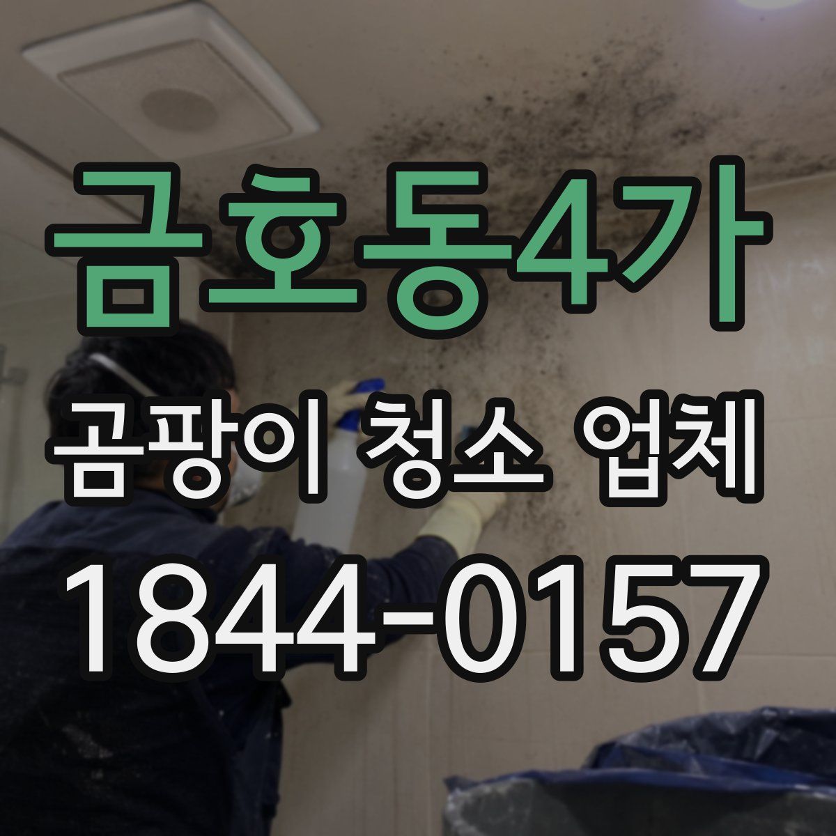 금호동4가 곰팡이 청소 업체