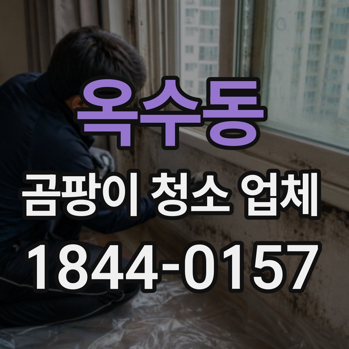 옥수동 곰팡이 청소 업체