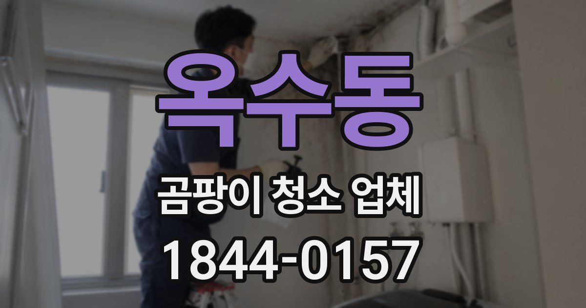 옥수동 곰팡이 청소 업체