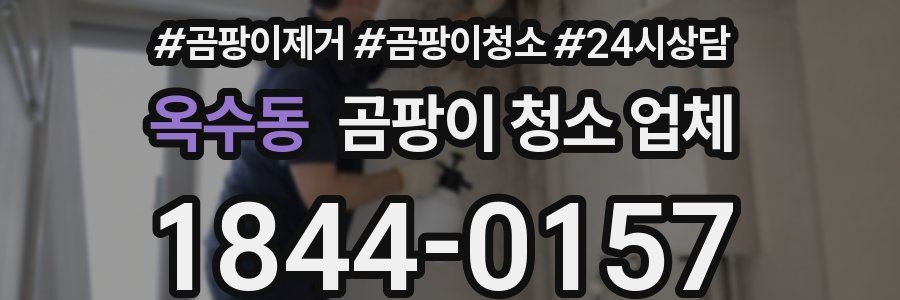 옥수동 곰팡이 청소 업체