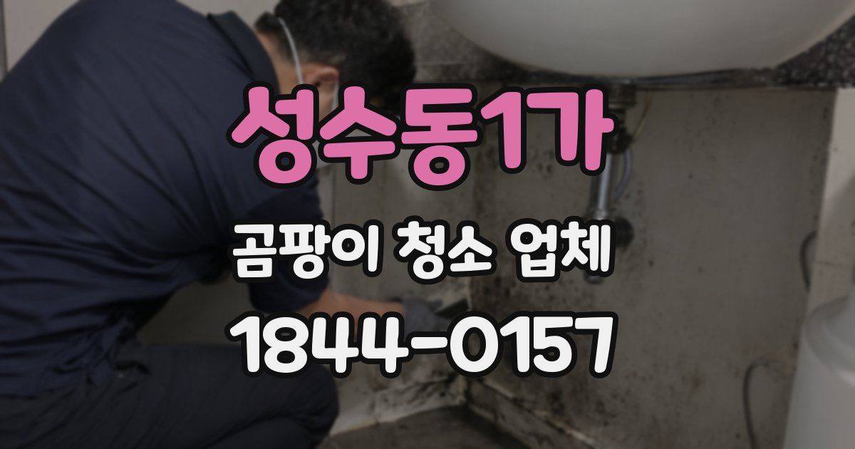성수동1가 곰팡이 청소 업체