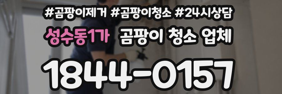 성수동1가 곰팡이 청소 업체
