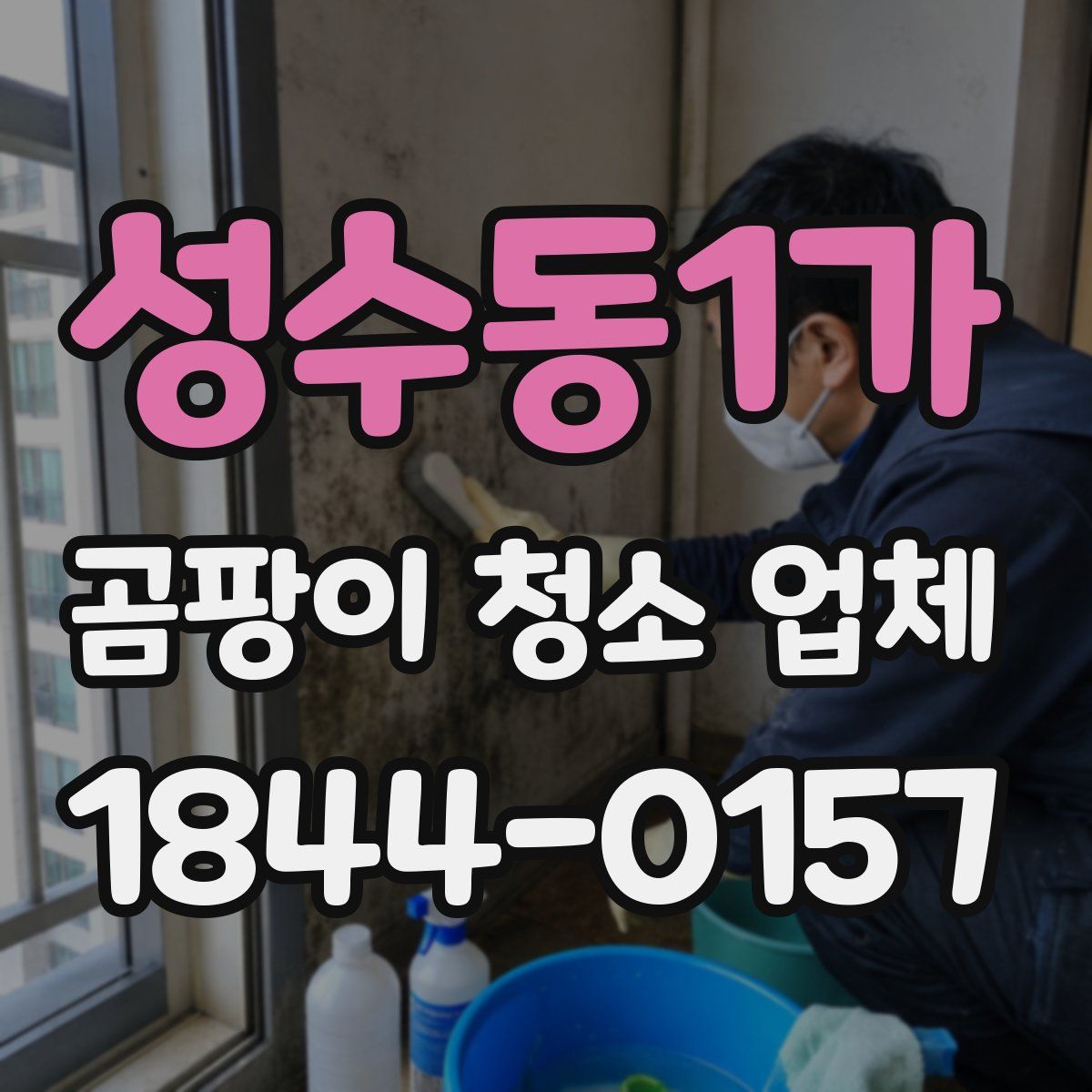 성수동1가 곰팡이 청소 업체