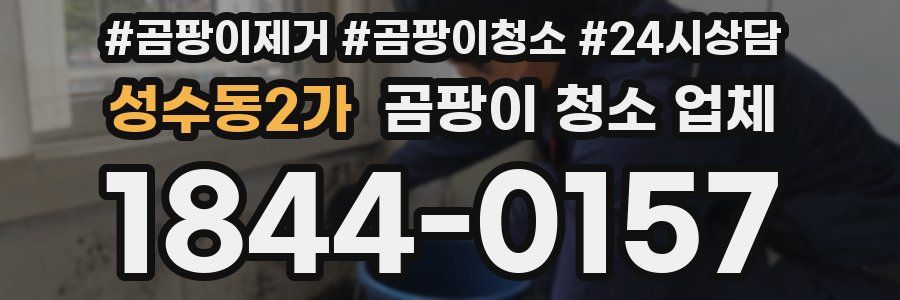 성수동2가 곰팡이 청소 업체