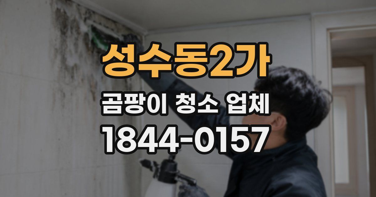 성수동2가 곰팡이 청소 업체